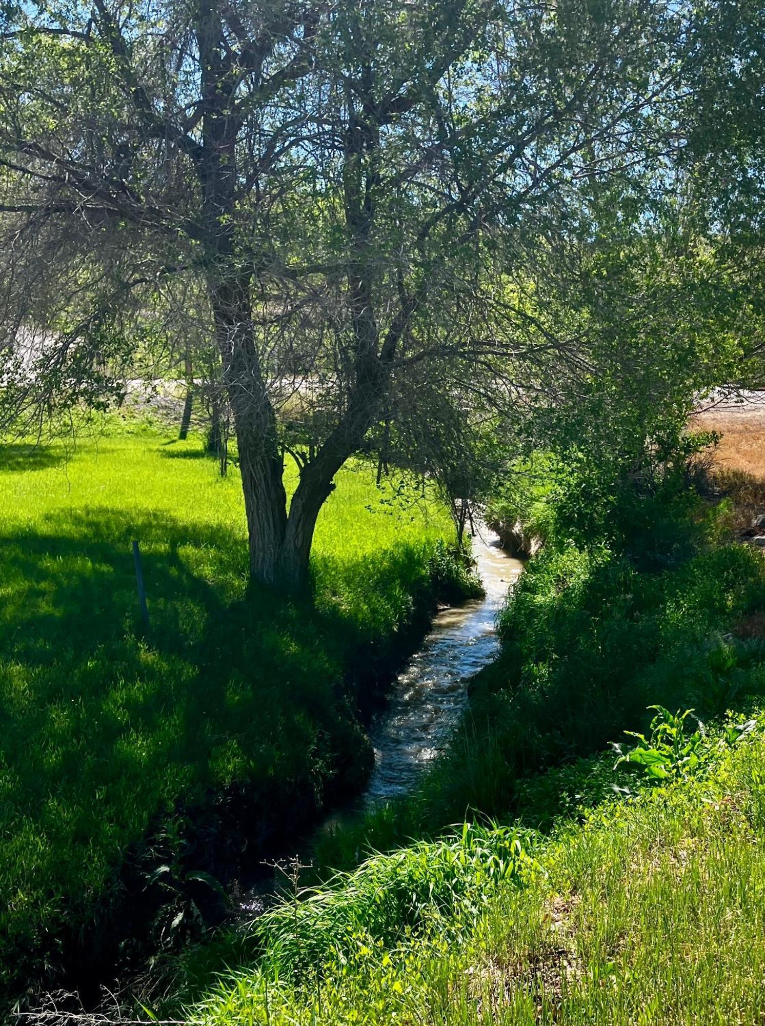 Let'S Go ! Fisherman, Families, Pools One Minute From Your Door, Comfort, Location Perfect, Amenity-Rich, Pup Friendly, Discover An Exceptional Wyoming Stay, Thermopolis River Walk Home At Hot Springs State Park, 'Where Families And Fisherman Stay' Luaran gambar