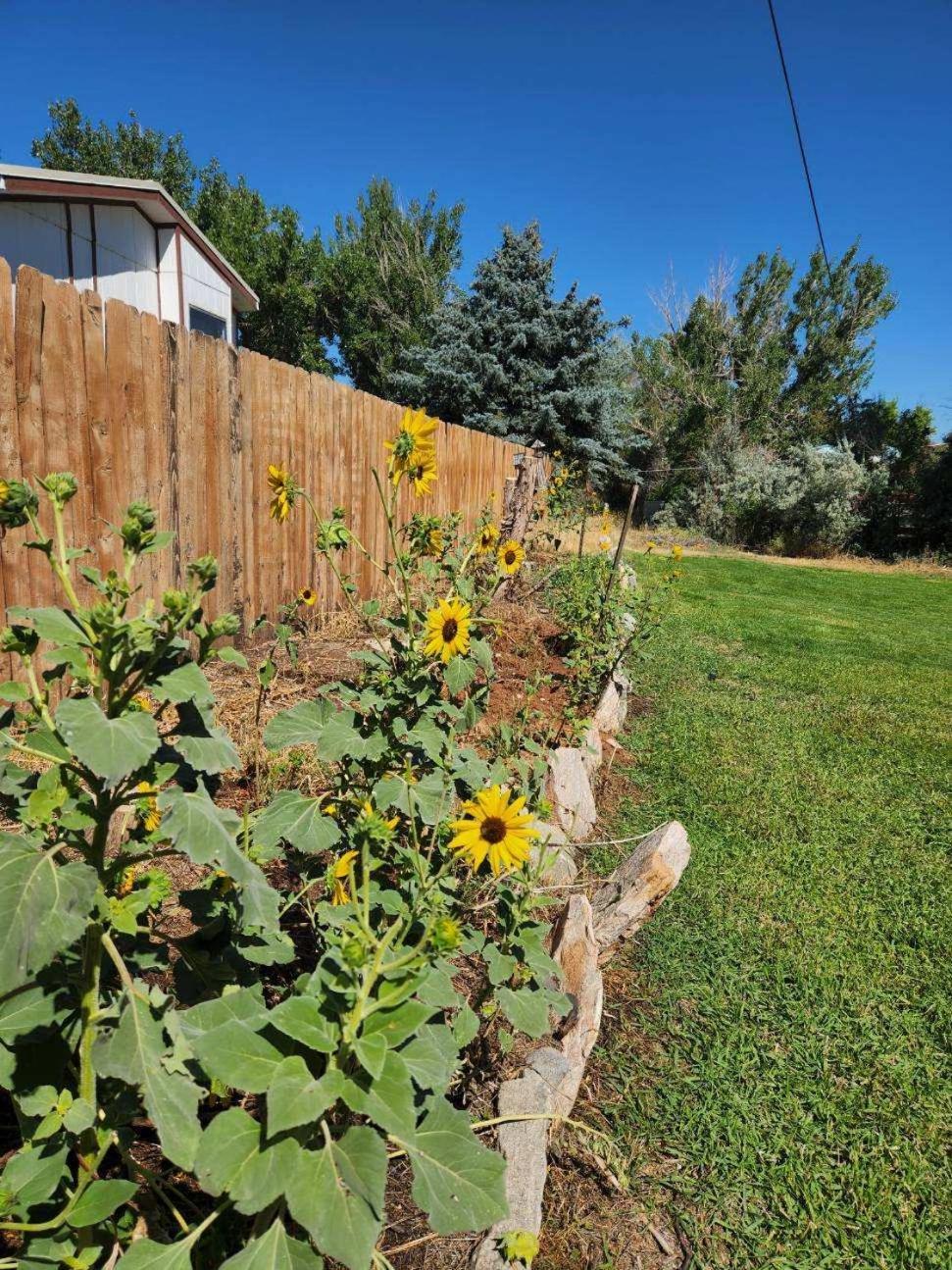 Let'S Go ! Fisherman, Families, Pools One Minute From Your Door, Comfort, Location Perfect, Amenity-Rich, Pup Friendly, Discover An Exceptional Wyoming Stay, Thermopolis River Walk Home At Hot Springs State Park, 'Where Families And Fisherman Stay' Luaran gambar